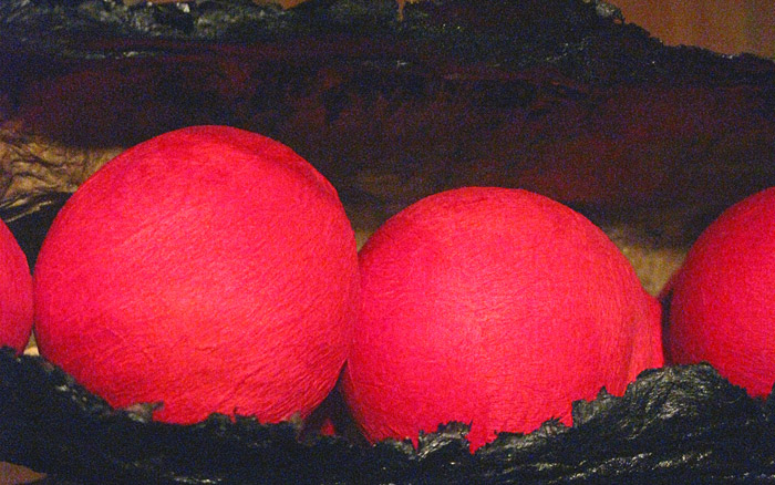 Semilla | close up of paper seeds, 2009